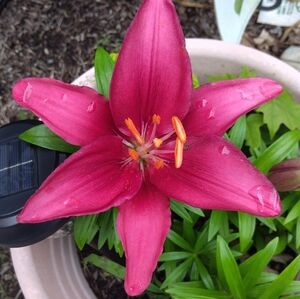 Meet your Posher, Charlie